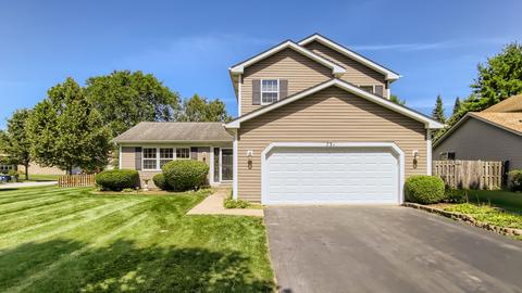 731 Lilac Dr, Algonquin, IL 60102 photo 25