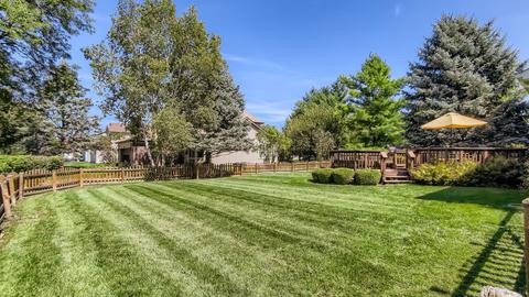 731 Lilac Dr, Algonquin, IL 60102 photo 24