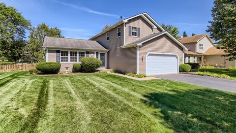 731 Lilac Dr, Algonquin, IL 60102 photo 26
