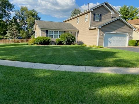 731 Lilac Dr, Algonquin, IL 60102 photo 1