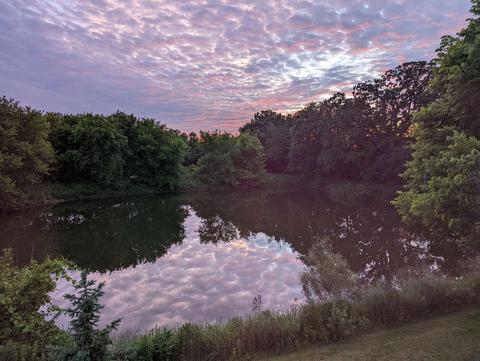713 Morris Ct, Lakemoor, IL 60051 photo 5