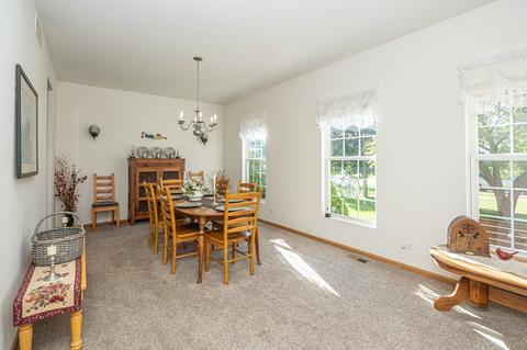 25008 Wright Ln, Plainfield, IL 60585 photo 4