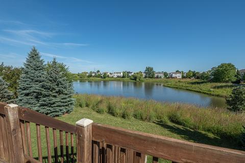 25008 Wright Ln, Plainfield, IL 60585 photo 27