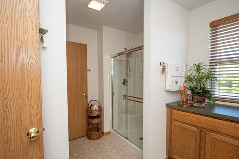 25008 Wright Ln, Plainfield, IL 60585 photo 22
