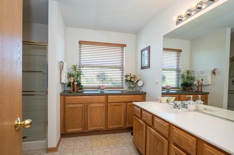 25008 Wright Ln, Plainfield, IL 60585 photo 21
