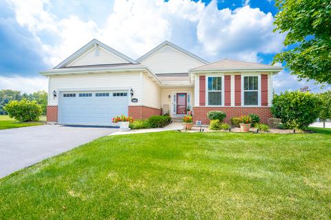 20002 Old Georges Way, Olympia Fields, IL 60461 photo 1