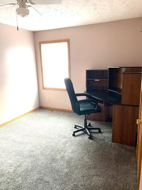 1906 Haverhill Cc Pkwy, Normal, IL 61761 photo 21