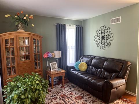 1711 Mountain Ridge Pass, Plainfield, IL 60586 photo 4