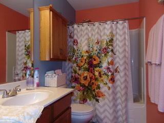 1711 Mountain Ridge Pass, Plainfield, IL 60586 photo 12