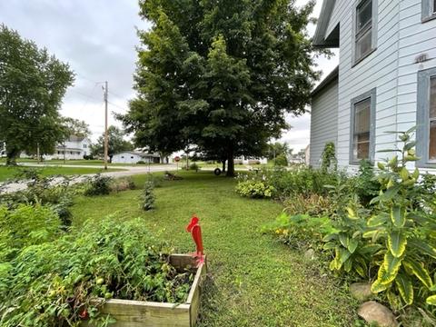 385 E Center St, Sheldon, IL 60966 photo 34