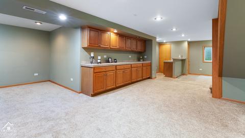 23706 Greenfield Dr, Plainfield, IL 60585 photo 31