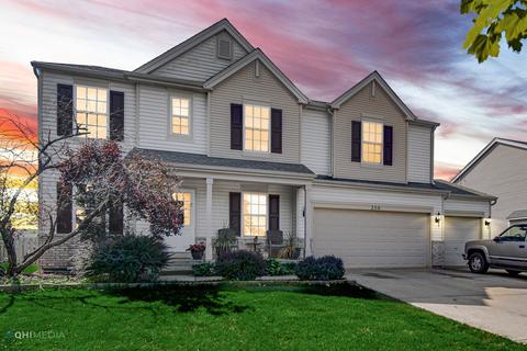 250 Switchgrass Dr, Minooka, IL 60447 photo 1