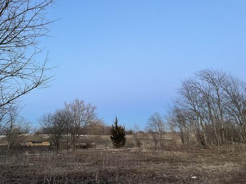 24700 S Murphy Ln, Monee, IL 60449 photo 12
