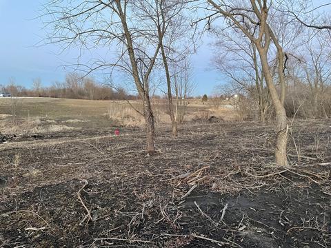 24700 S Murphy Ln, Monee, IL 60449 photo 10