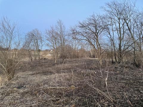 24700 S Murphy Ln, Monee, IL 60449 photo 16