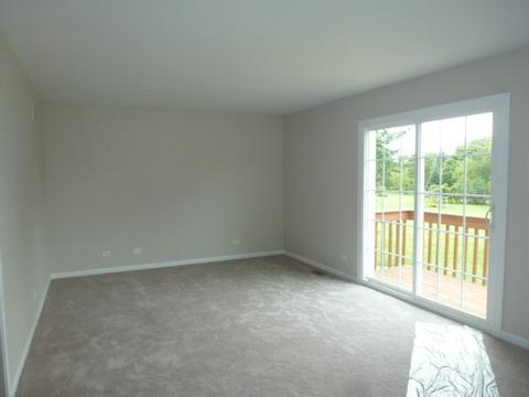 10 Corey Dr, South Barrington, IL 60010 photo 24