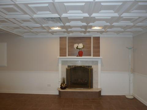 10 Corey Dr, South Barrington, IL 60010 photo 34