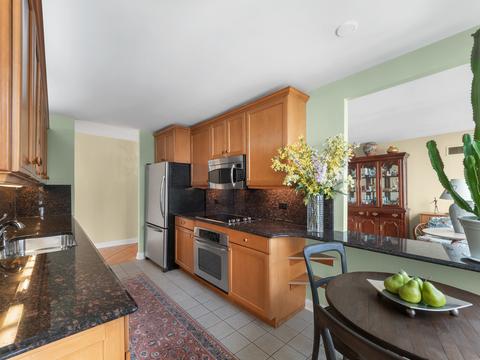 360 E Randolph St #3801, Chicago, IL 60601 photo 14