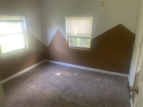 232 N Evergreen Ave, Kankakee, IL 60901 photo 5