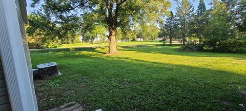 305 Elm St, Forreston, IL 61030 photo 20