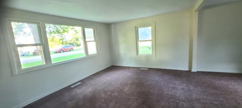 305 Elm St, Forreston, IL 61030 photo 17