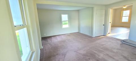 305 Elm St, Forreston, IL 61030 photo 19