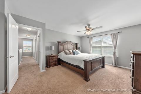 12803 Conifer St, Plainfield, IL 60585 photo 14