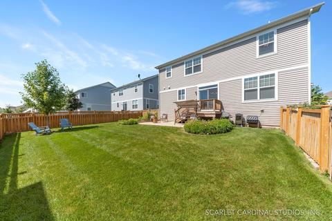 12803 Conifer St, Plainfield, IL 60585 photo 23