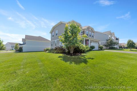 12803 Conifer St, Plainfield, IL 60585 photo 25