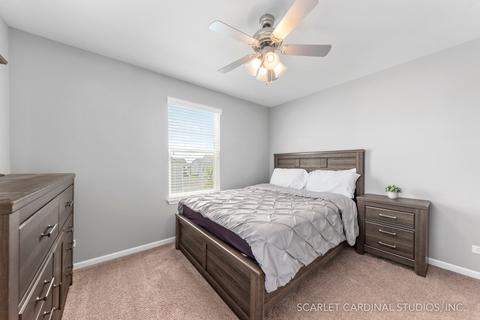 12803 Conifer St, Plainfield, IL 60585 photo 18