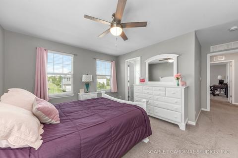 12803 Conifer St, Plainfield, IL 60585 photo 20