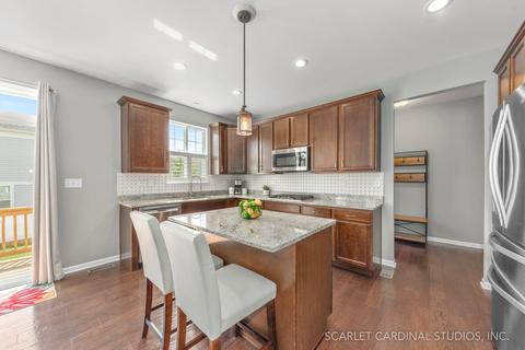 12803 Conifer St, Plainfield, IL 60585 photo 9