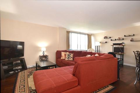 151 N Kenilworth Ave #4E, Oak Park, IL 60301 photo 12