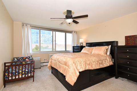 151 N Kenilworth Ave #4E, Oak Park, IL 60301 photo 21