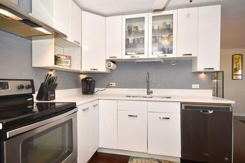 151 N Kenilworth Ave #4E, Oak Park, IL 60301 photo 17