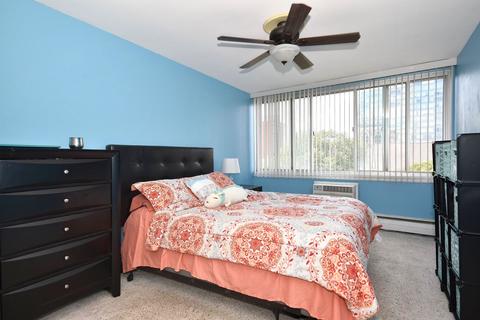 151 N Kenilworth Ave #4E, Oak Park, IL 60301 photo 26