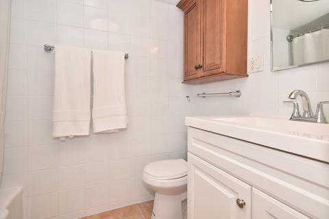 151 N Kenilworth Ave #4E, Oak Park, IL 60301 photo 25