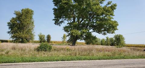 24296 E 1000 North Rd, Downs, IL 61736 photo 1