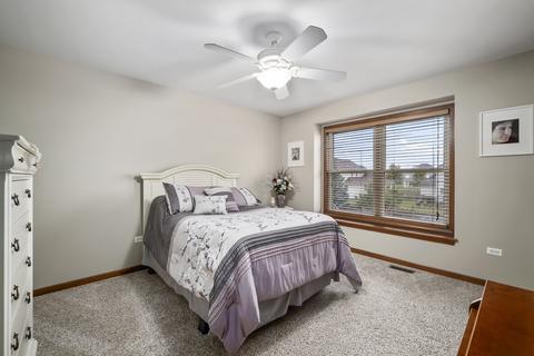 520 E Hunter Ln, Minooka, IL 60447 photo 22