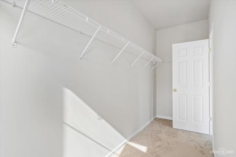 140 River Walk Ct, Elgin, IL 60120 photo 23