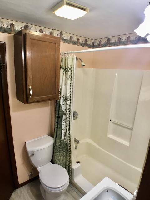 113 W Mazon Ave, Dwight, IL 60420 photo 13