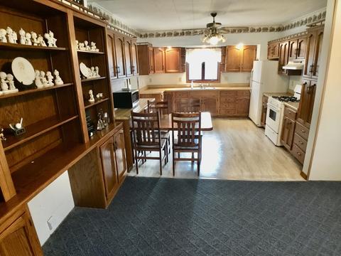 113 W Mazon Ave, Dwight, IL 60420 photo 11