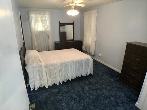 113 W Mazon Ave, Dwight, IL 60420 photo 12