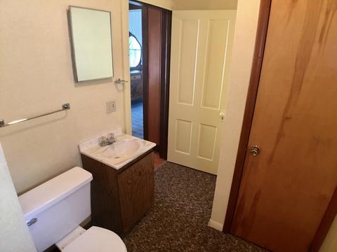 113 W Mazon Ave, Dwight, IL 60420 photo 19