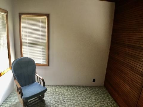 113 W Mazon Ave, Dwight, IL 60420 photo 15