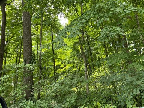 1357 County Road 600n Rd, Eureka, IL 61530 photo 1