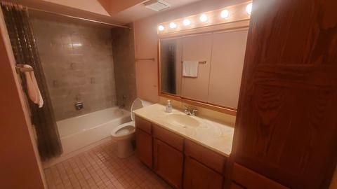 1436 E Thacker St #505, Des Plaines, IL 60016 photo 11