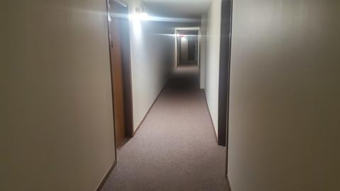 1436 E Thacker St #505, Des Plaines, IL 60016 photo 16