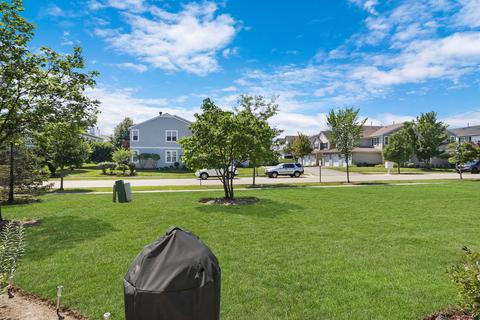 2824 Falling Waters Dr, Lindenhurst, IL 60046 photo 30