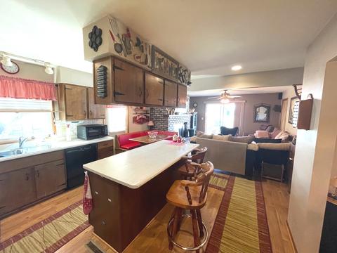 201 N 4th St, Danforth, IL 60930 photo 8